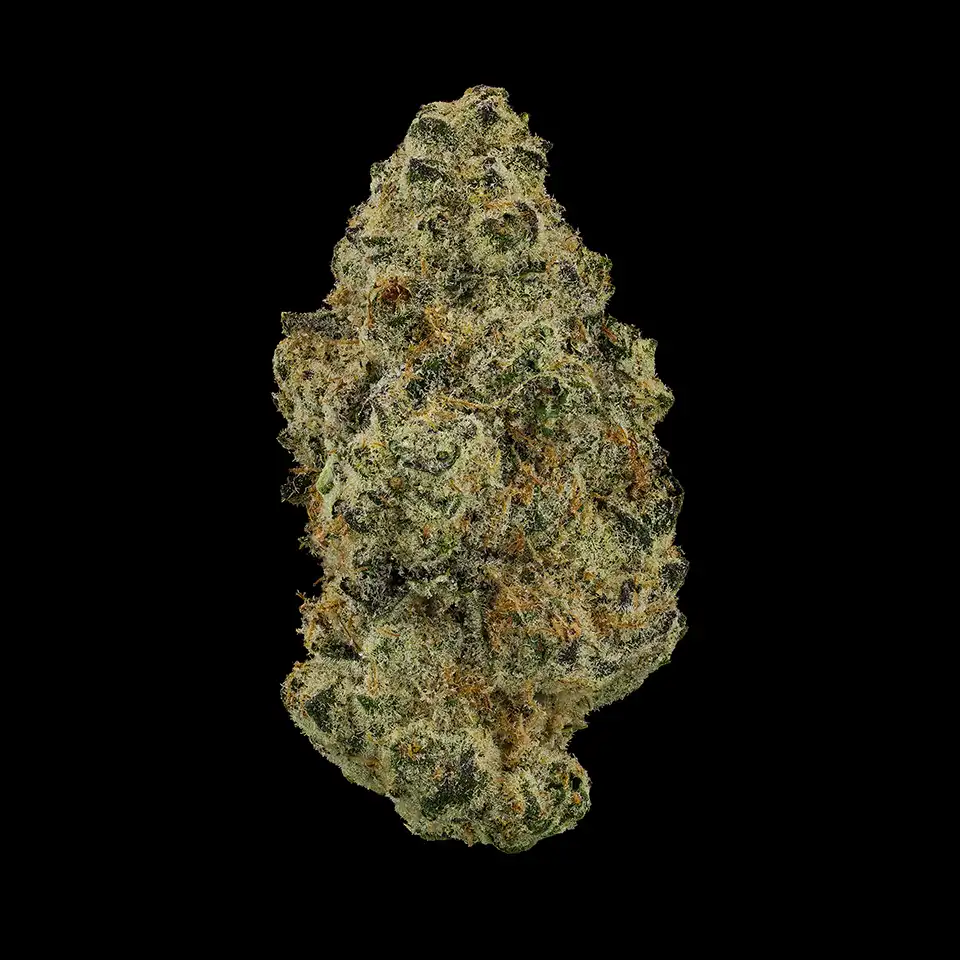 Cookies Strains Powder Sugar