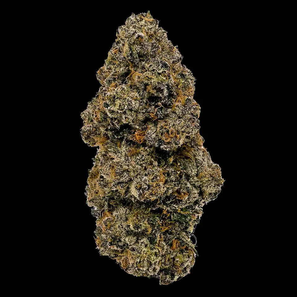 Cookies Strains BernieHana Butter