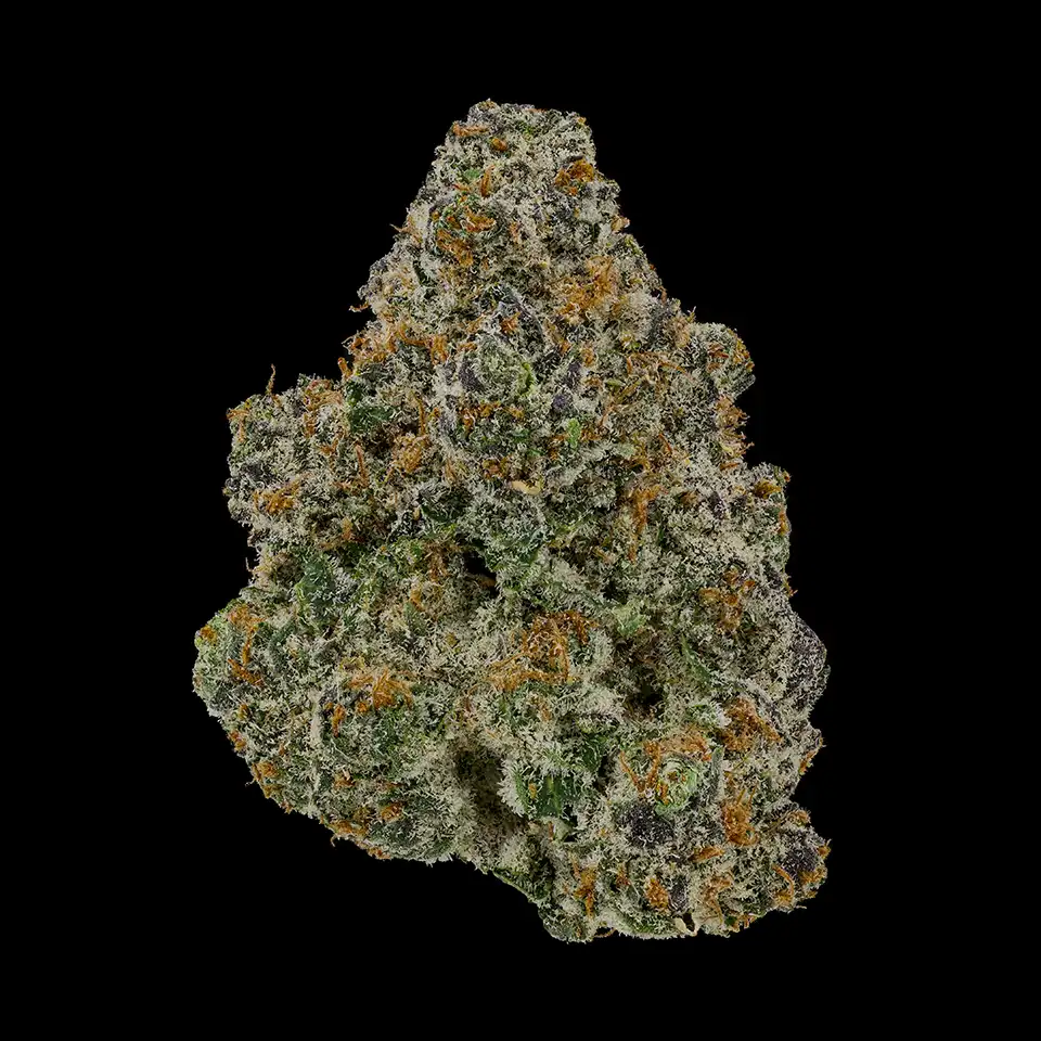 Cookies Strains Margarita Bar