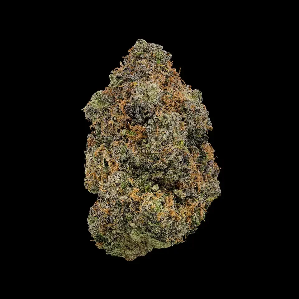 Margarita Bar Cookies Bloomington Dispensary IL